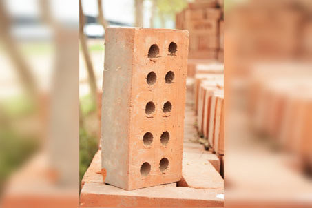 Wire Cut Brick - 10 Holes