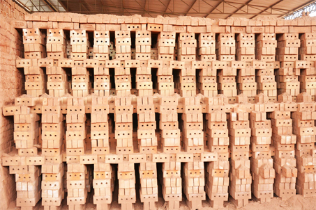 Collection of Wire Cut 3 Holes Bricks