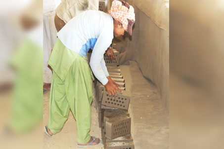 Workers at Panesar B.K.O. while arranging Bricks